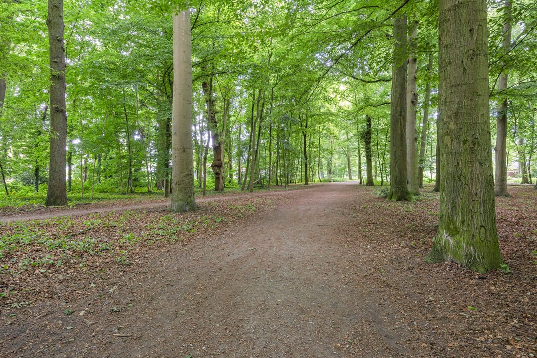 Foto 47 van Vlijtsemolen 25