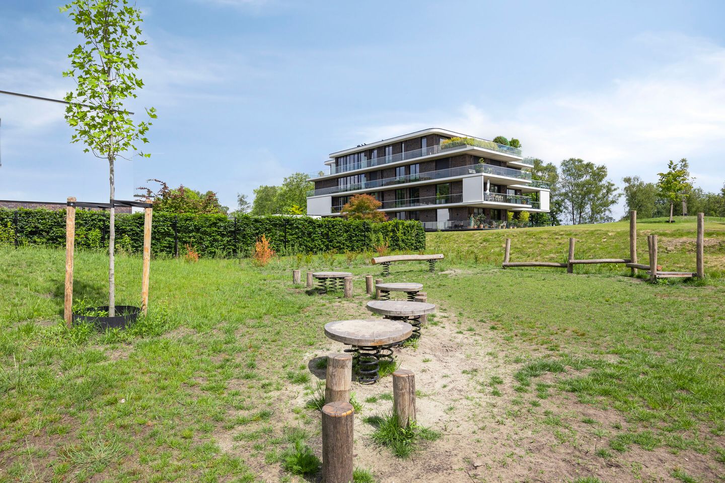 Foto 40 van Vlijtsemolen 25