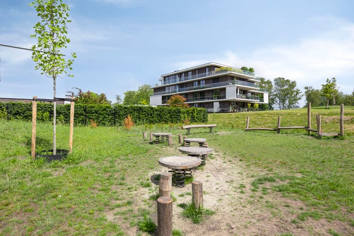 Foto 40 van Vlijtsemolen 25