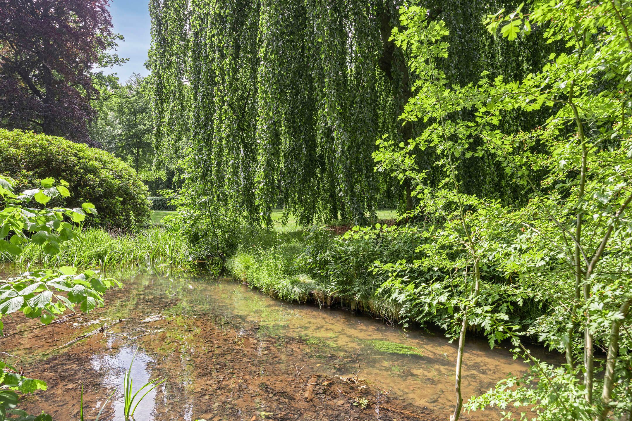Foto 48 van Vlijtsemolen 25
