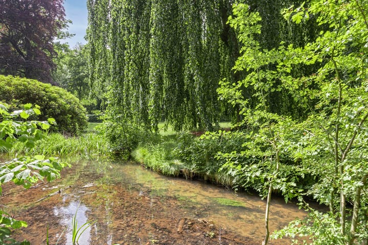 Foto 48 van Vlijtsemolen 25