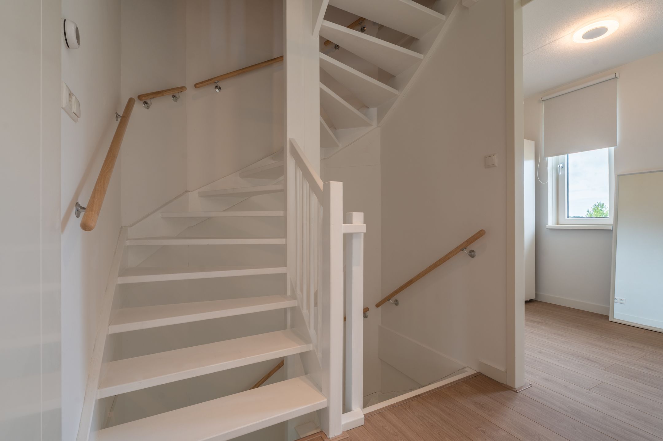 Foto 27 van Pimpernel 9