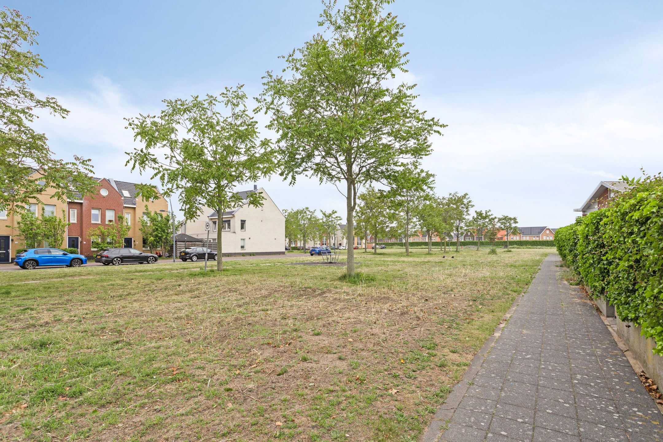 Foto 36 van Kaukasus 20