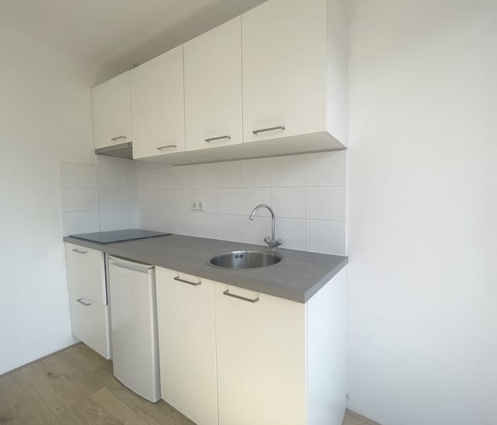 Foto 6 van Lambertus Hortensiuslaan 68-C