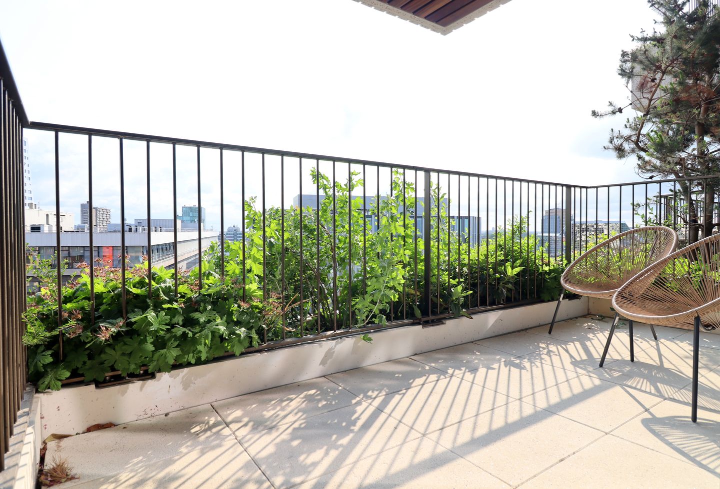 Foto 14 van Hoola van Nootenstraat 273