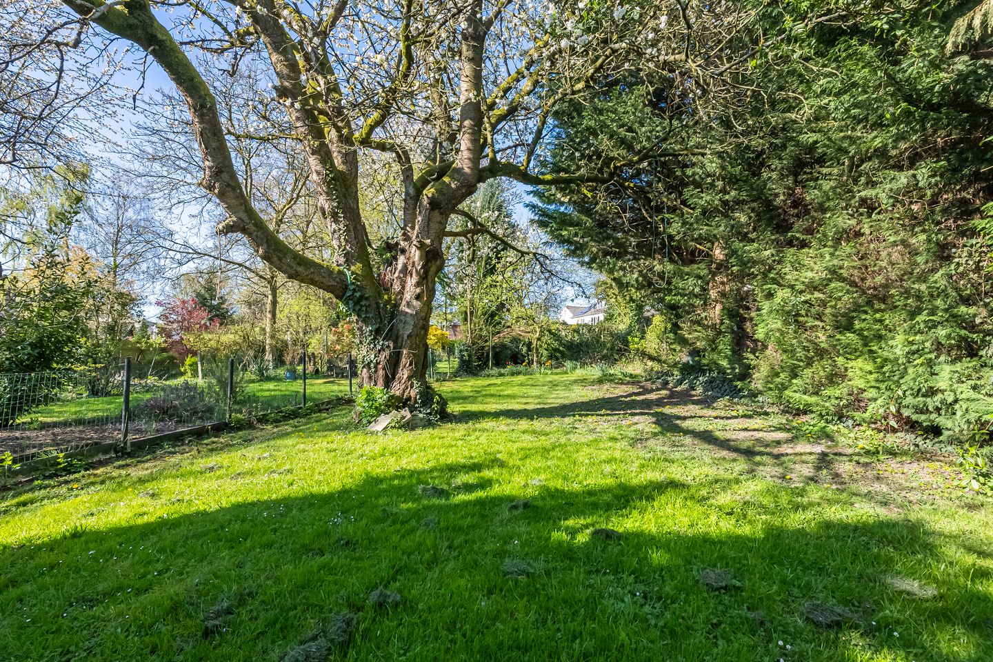 Foto 20 van Kaldebornweg 118