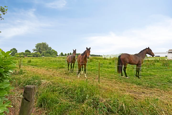 Foto 57 van Peerakker 8