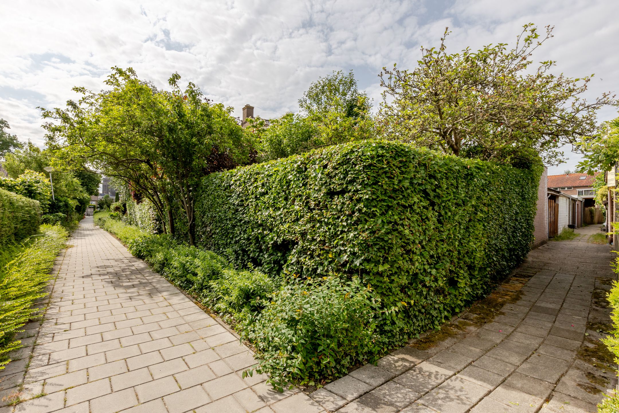 Foto 36 van Prins Bernhardstraat 14