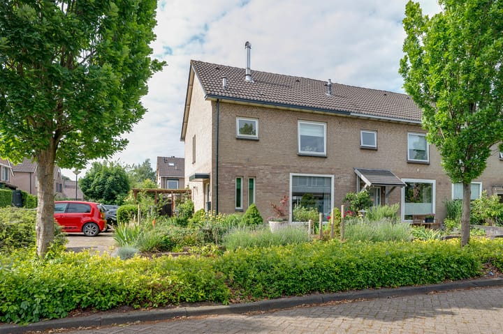 undefined main image