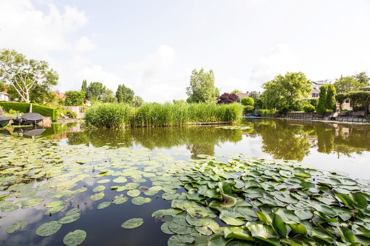 Foto 3 van Nuwendoorn 72