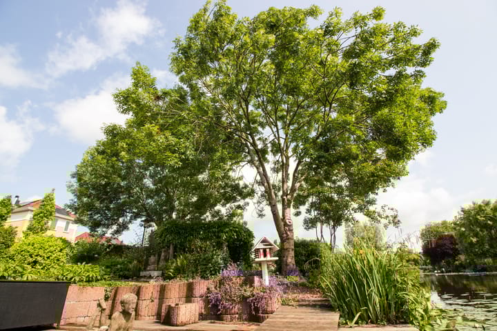 Foto 74 van Nuwendoorn 72