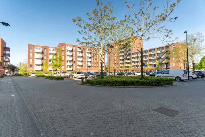 Foto 29 van Globeplein 52