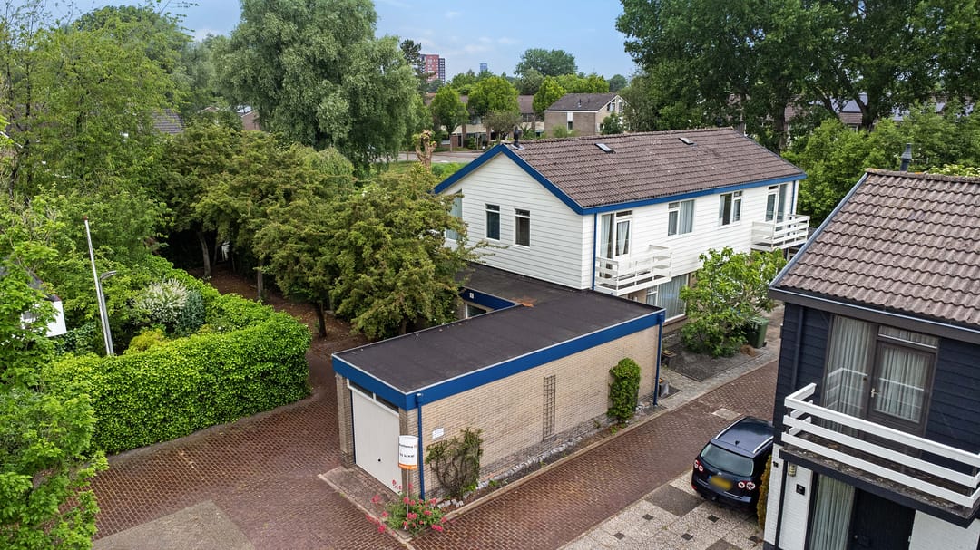 Foto 1 van Sleutelbloem 14