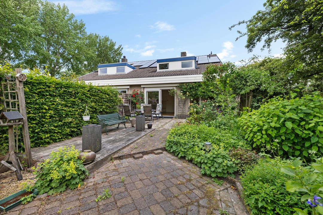 Foto 38 van Sleutelbloem 14