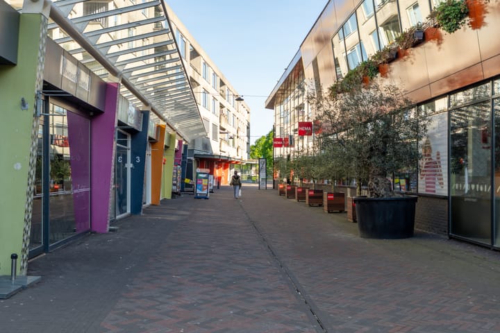 Foto 37 van Globeplein 52