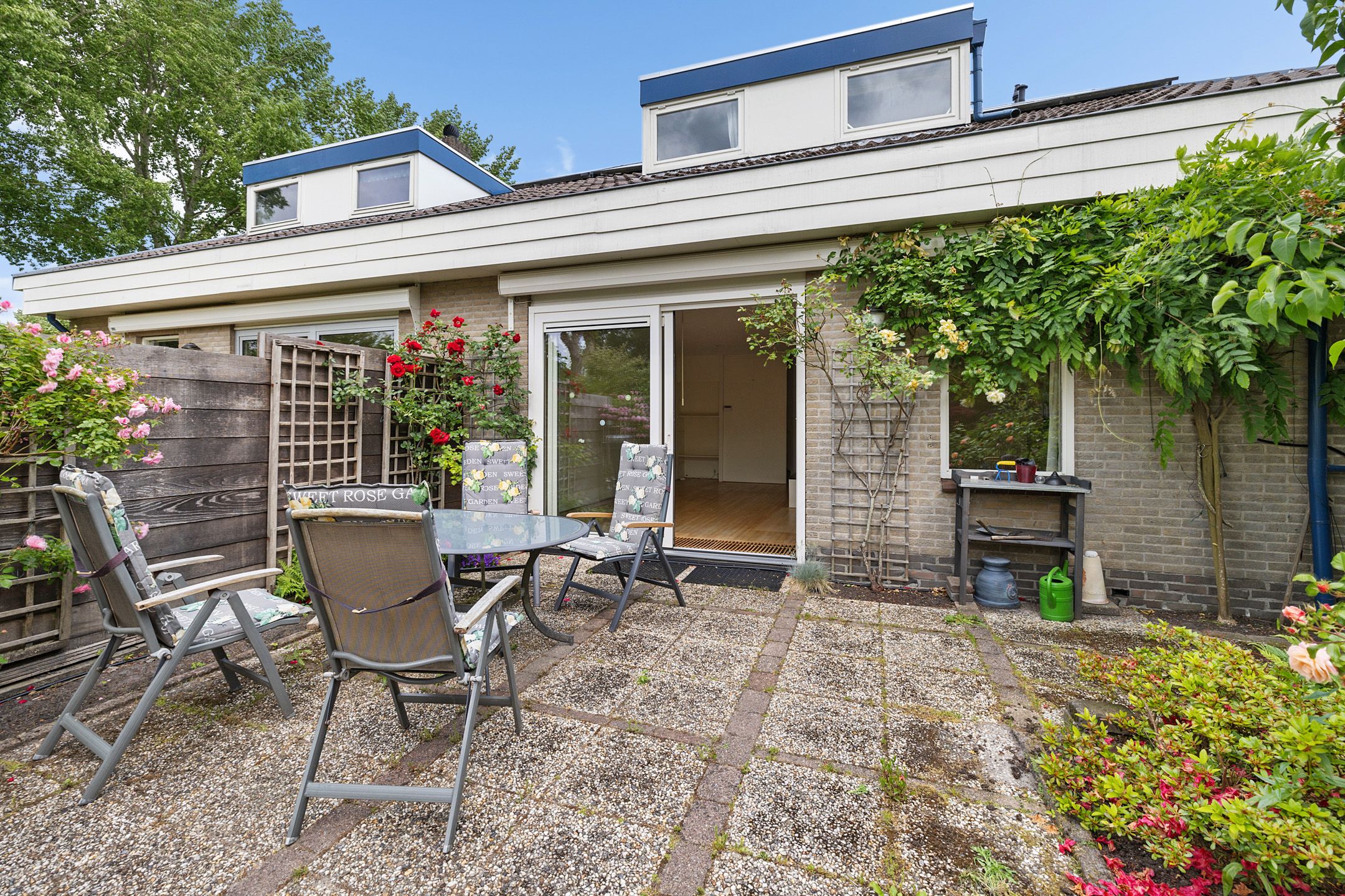 Foto 39 van Sleutelbloem 14