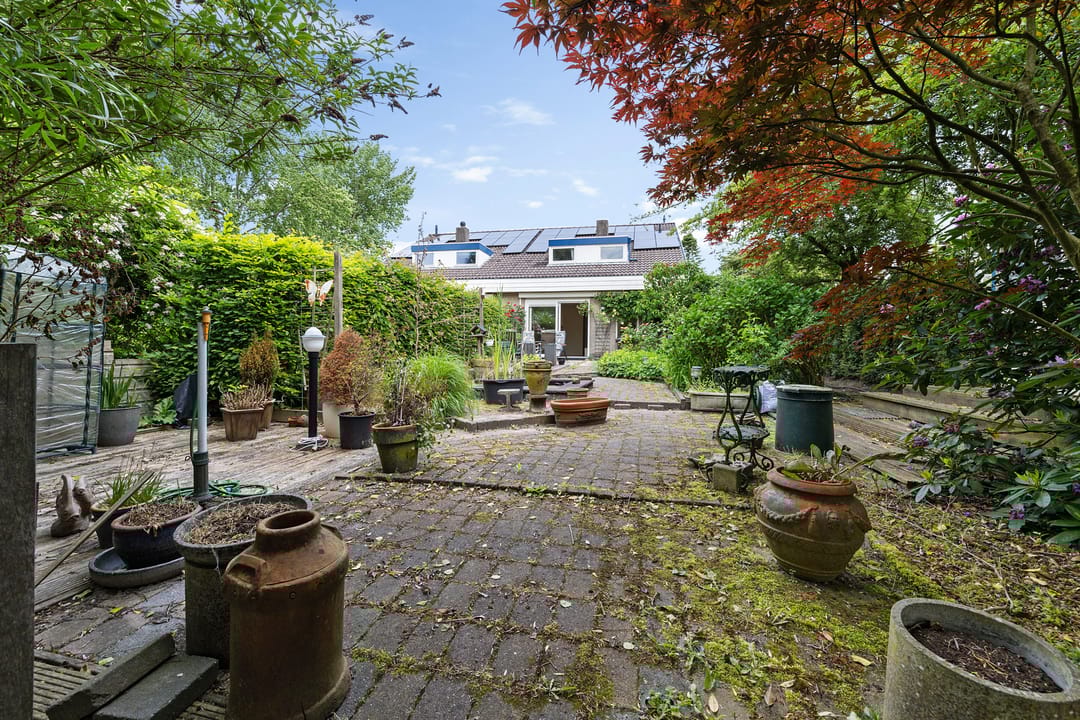 Foto 37 van Sleutelbloem 14