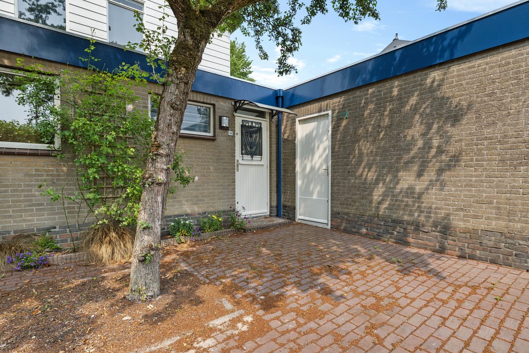 Foto 7 van Sleutelbloem 14