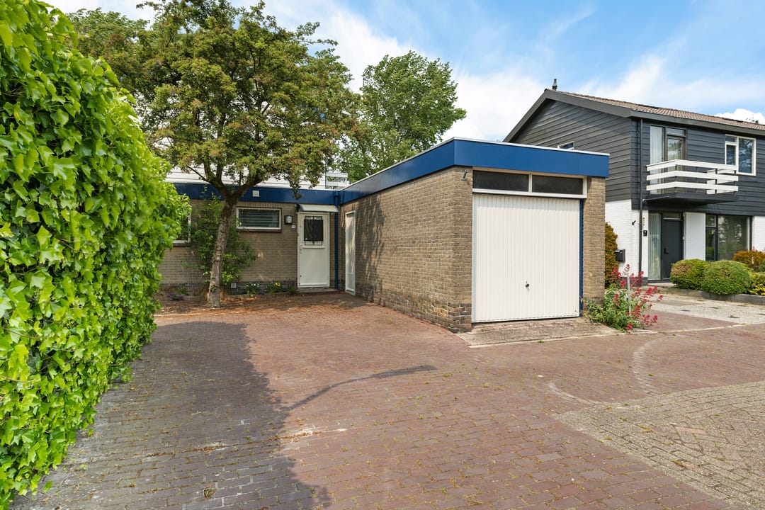 Foto 8 van Sleutelbloem 14