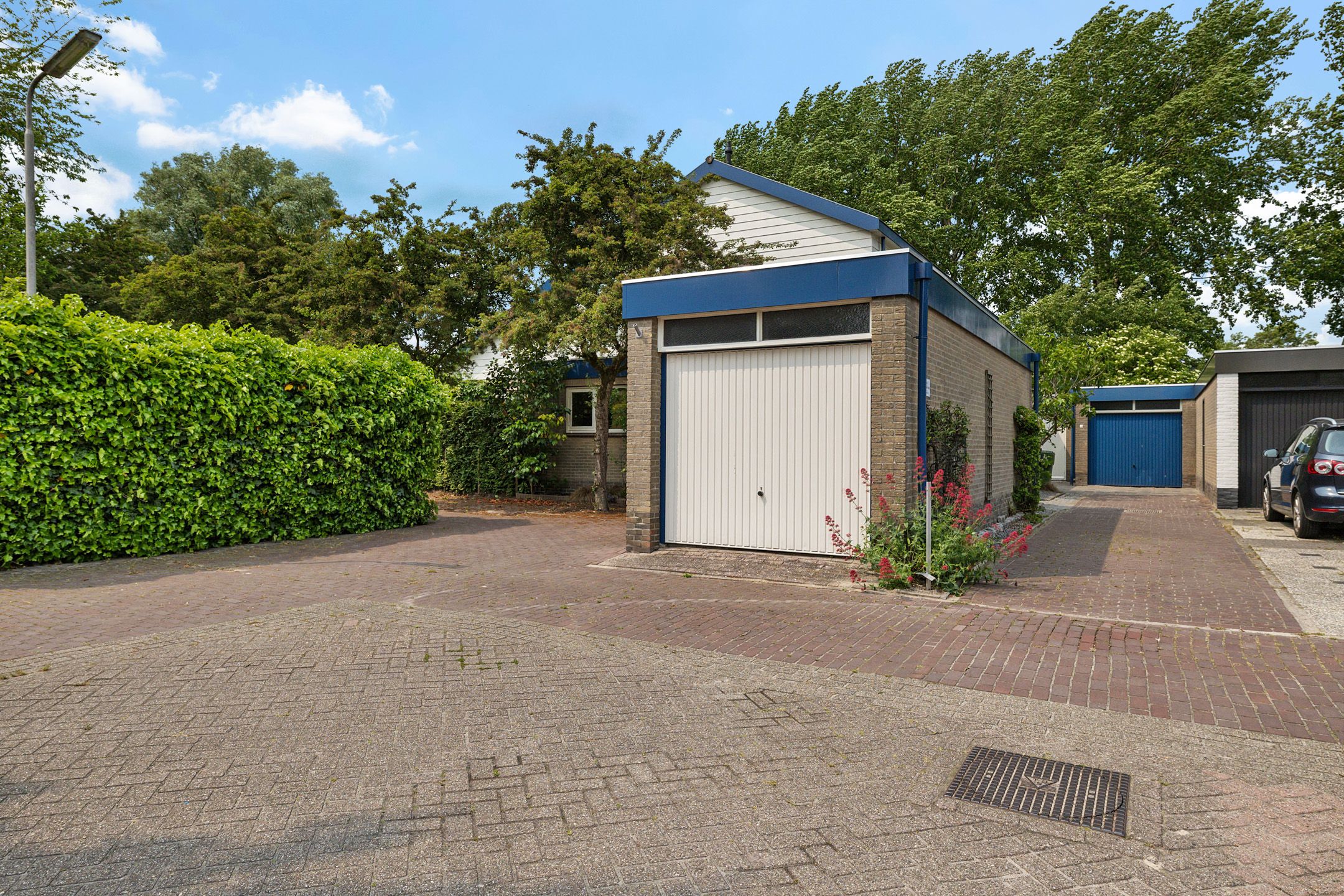 Foto 9 van Sleutelbloem 14