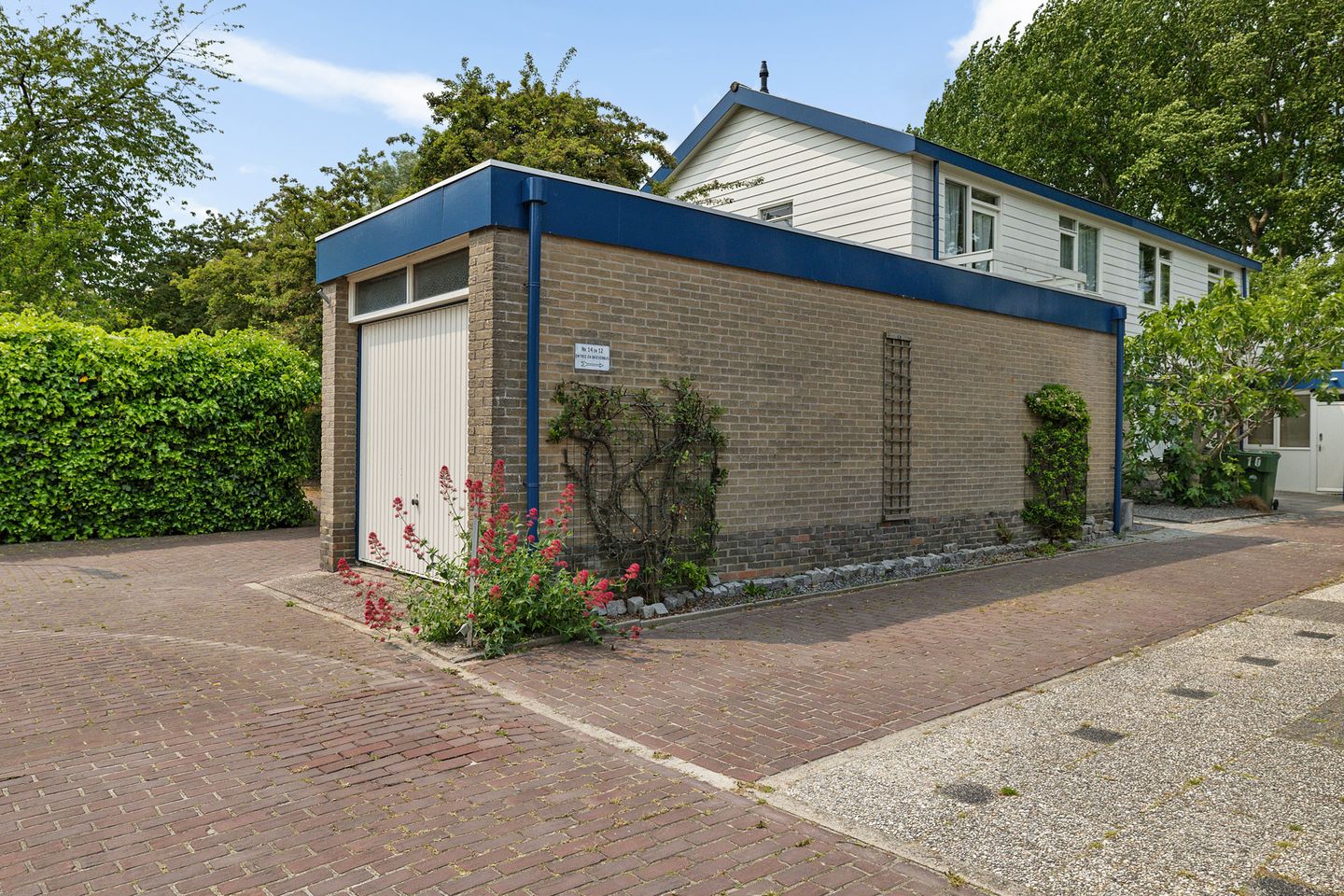 Foto 10 van Sleutelbloem 14