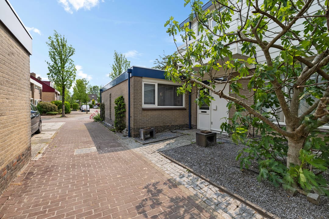 Foto 11 van Sleutelbloem 14