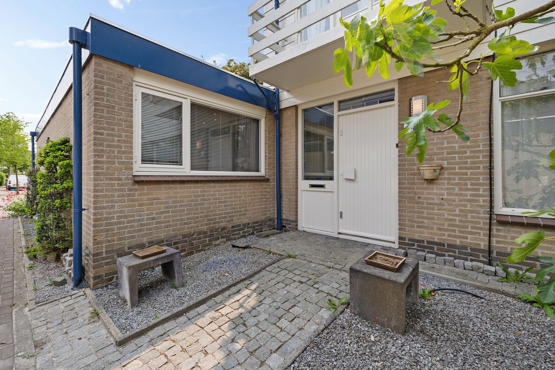 Foto 12 van Sleutelbloem 14