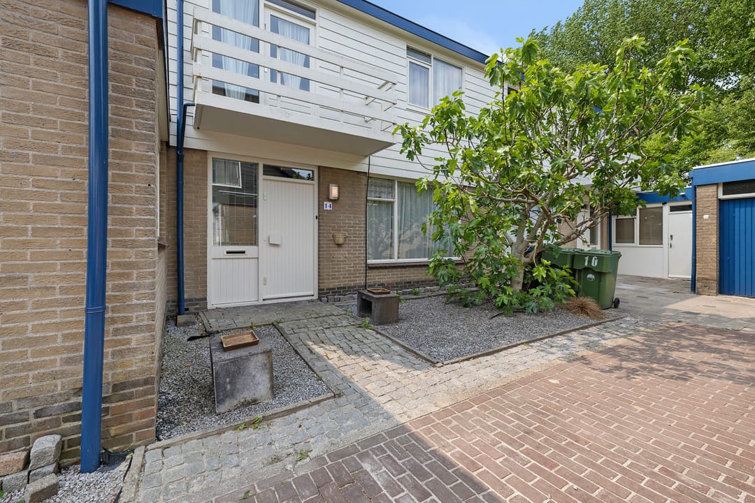 Foto 13 van Sleutelbloem 14