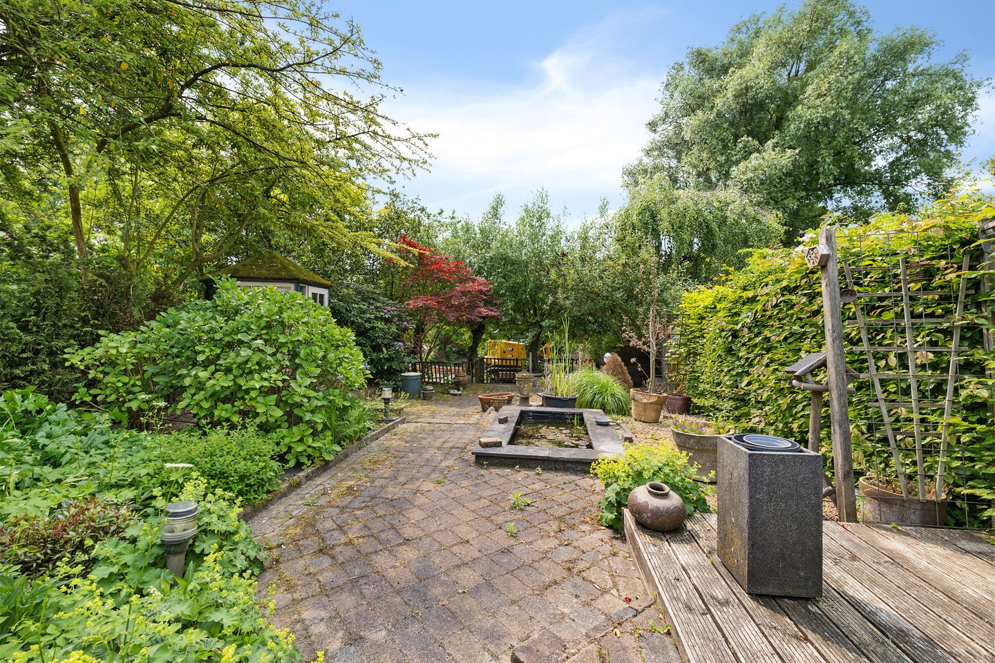 Foto 34 van Sleutelbloem 14