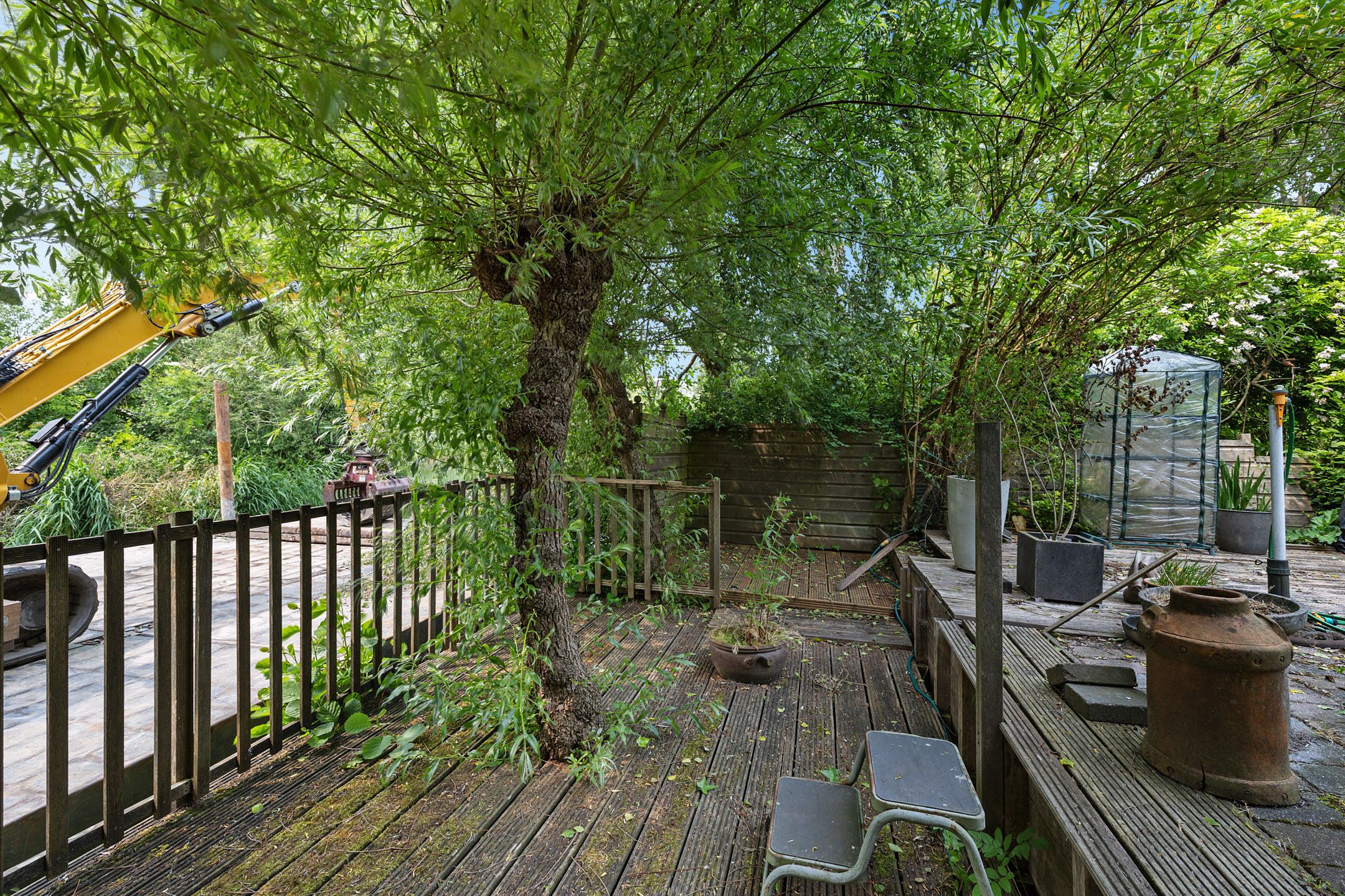 Foto 36 van Sleutelbloem 14