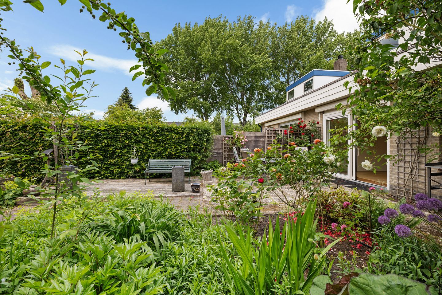 Foto 40 van Sleutelbloem 14