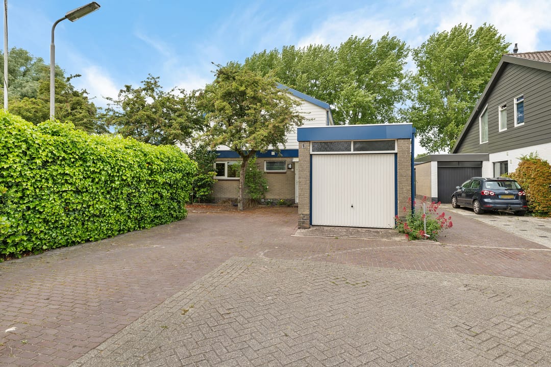 Foto 41 van Sleutelbloem 14