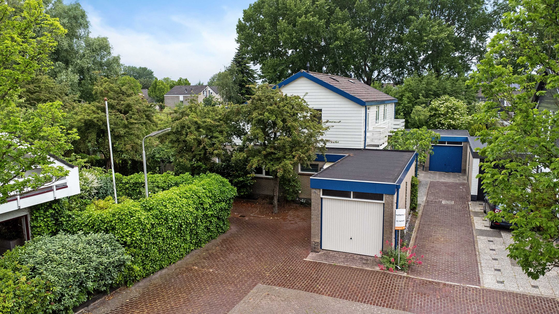 Foto 42 van Sleutelbloem 14