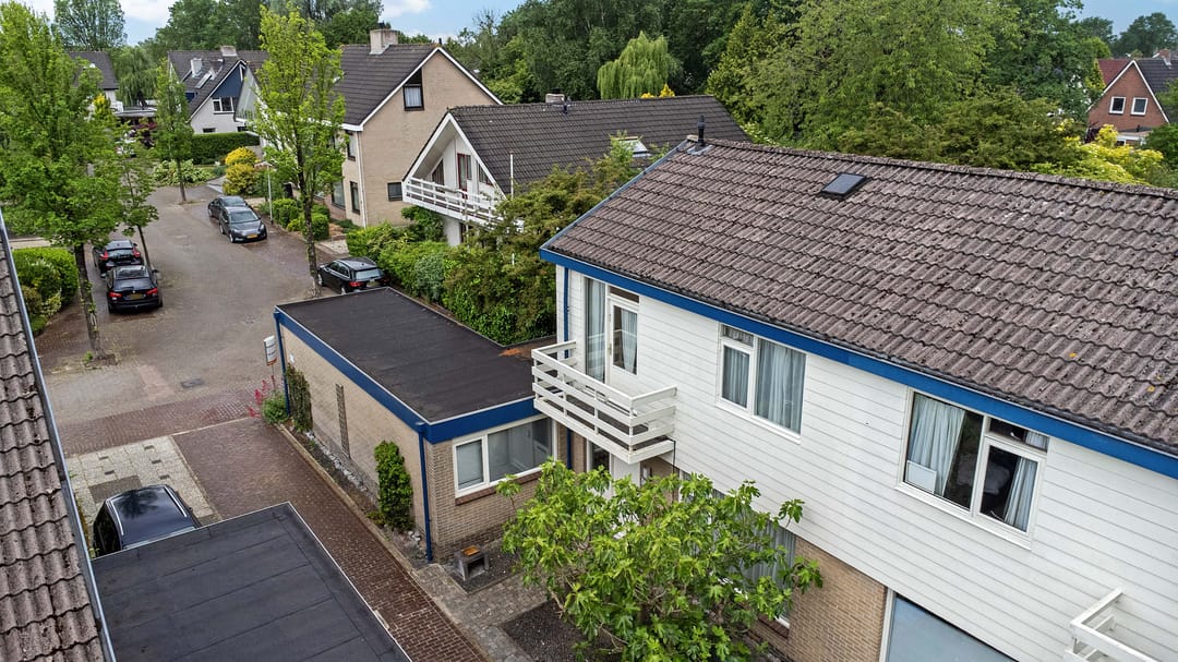 Foto 43 van Sleutelbloem 14