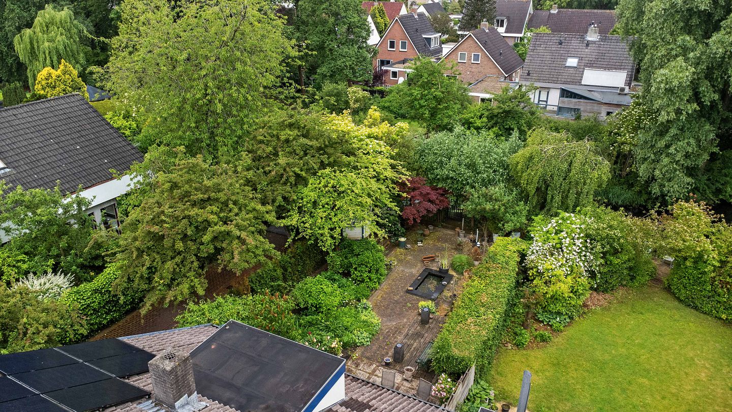 Foto 44 van Sleutelbloem 14