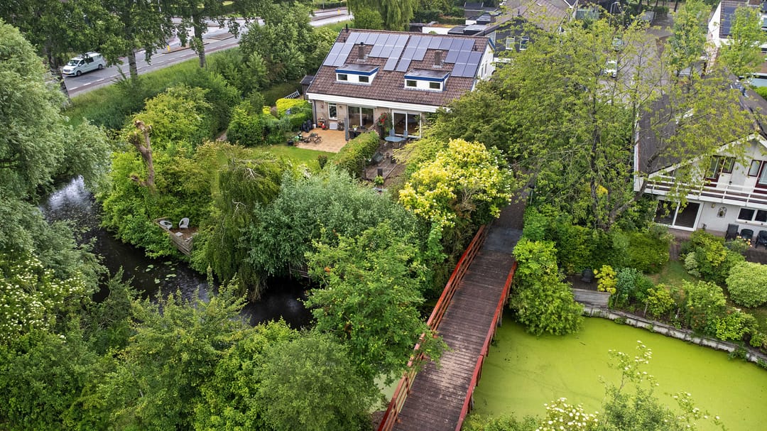 Foto 46 van Sleutelbloem 14