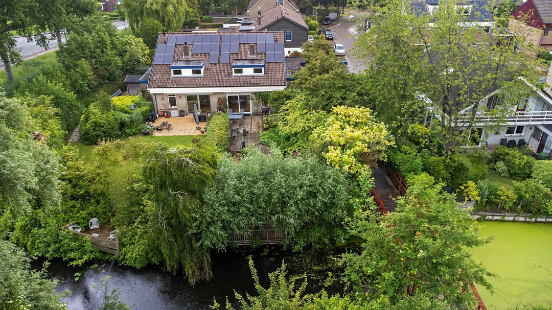 Foto 47 van Sleutelbloem 14