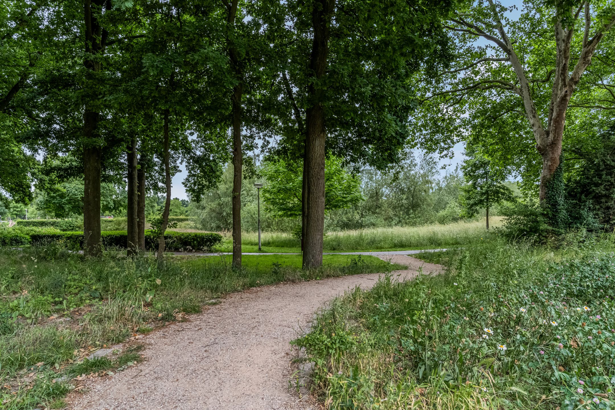 Photo 36 of Winselingseweg 2-Q