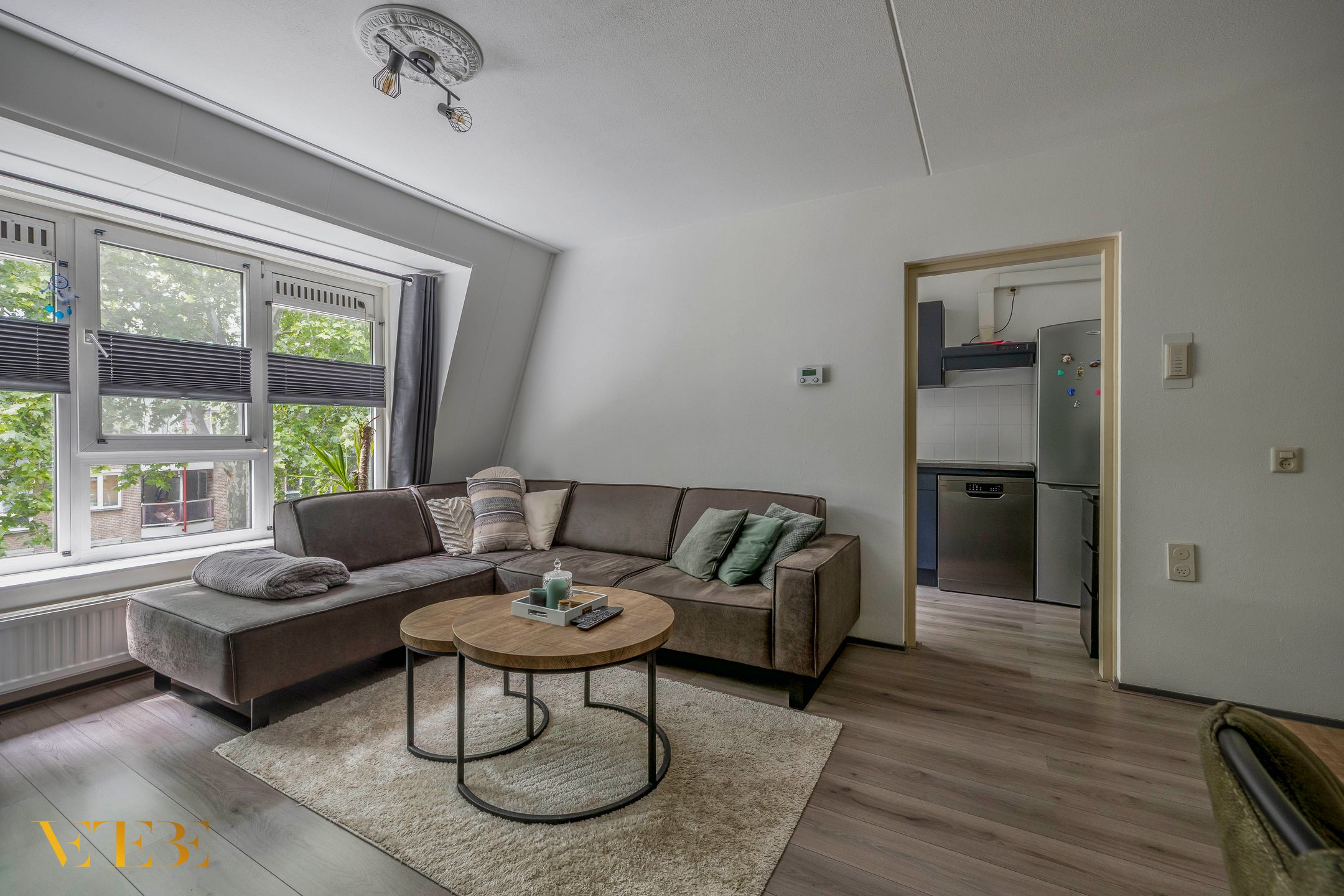 Foto 3 van Regentessestraat 113