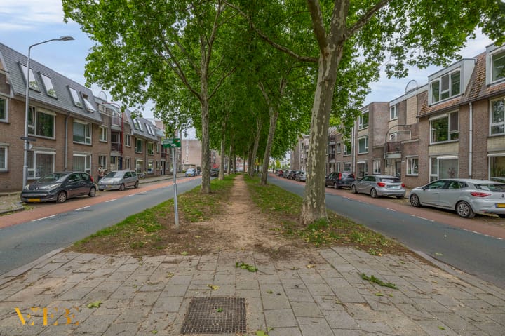 Foto 22 van Regentessestraat 113