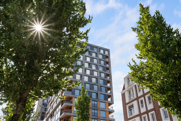 Foto 2 van Maashaven N.z. 669