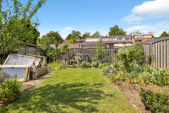 Foto 41 van Putter 11