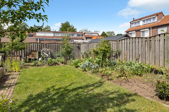 Foto 42 van Putter 11