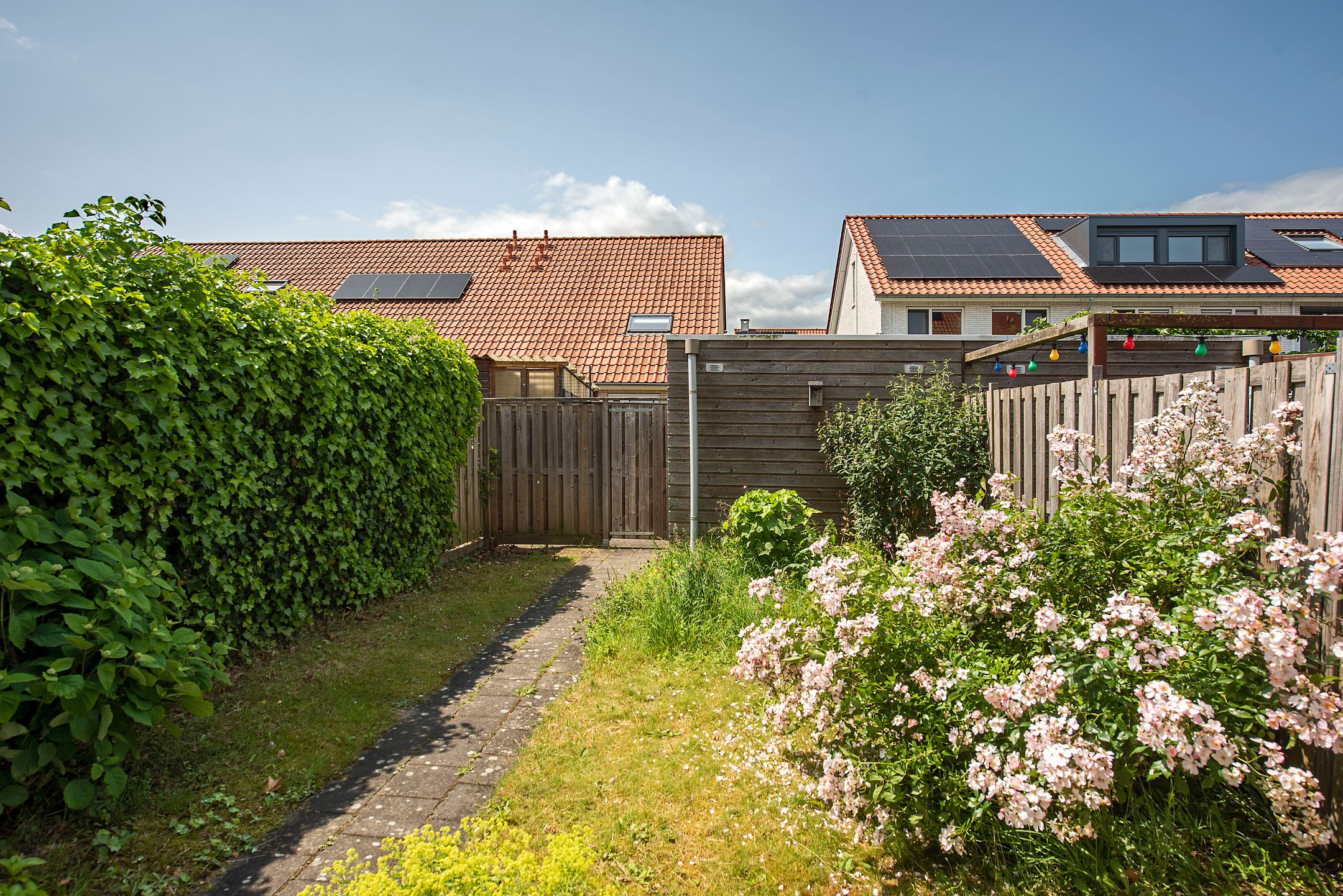 Foto 21 van Rozenhof 102