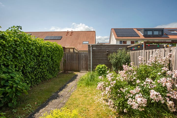 Foto 21 van Rozenhof 102