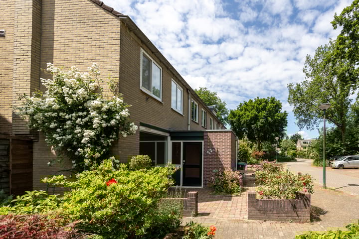 Foto 5 van Vrijheid 44