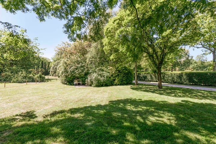 Foto 38 van Hoofdweg 115