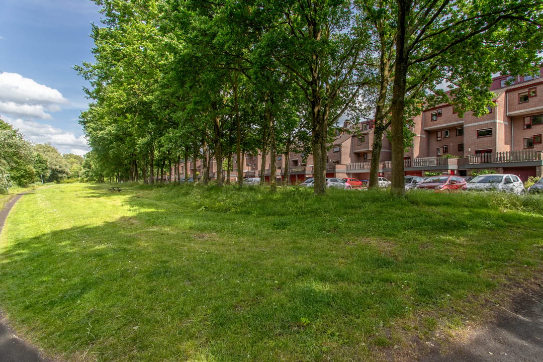 Foto 32 van Albert van Dalsumlaan 505