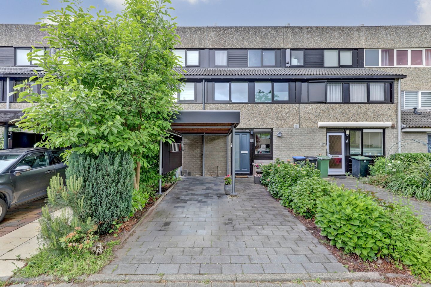 Elisabeth Hoeve 20 main image