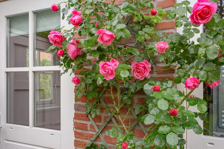 Foto 66 van Noorderakerweg 28